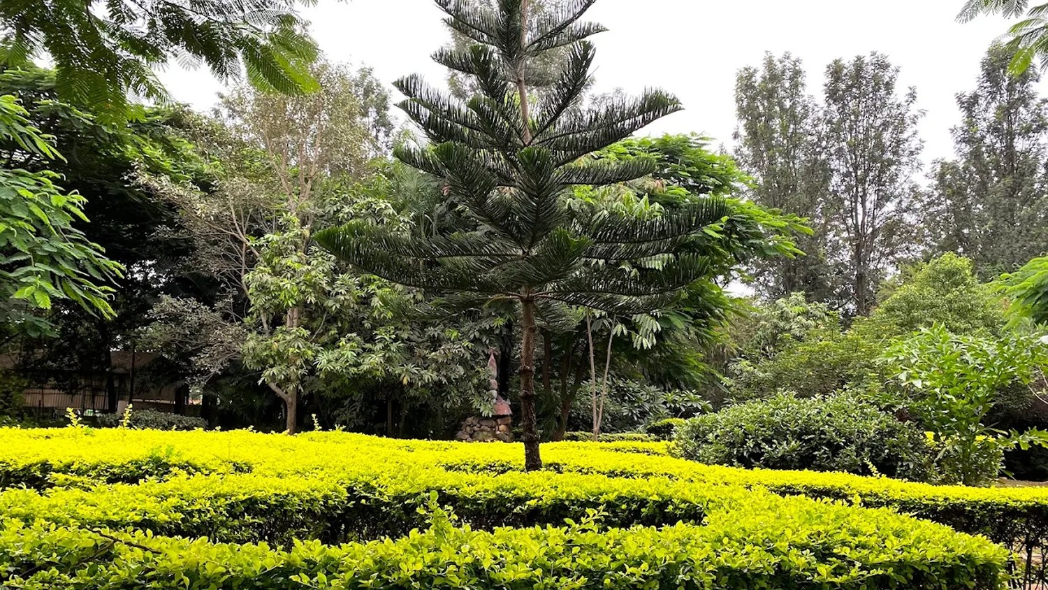 Hebbal Lake Park